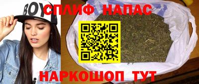 мяу мяу мука Гай
