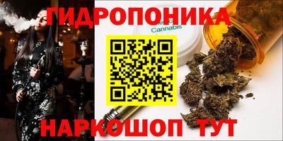 мяу мяу мука Гай
